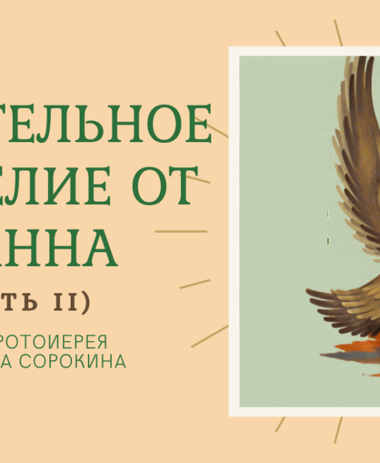 ВИДЕО: Удивительное Евангелие от Иоанна (2 ч.) | Протоиерей Александр Сорокин
